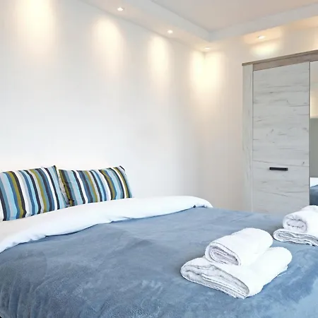 New Roses 贝尔格莱德